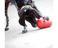 Kong Wobbler Color Rojo S