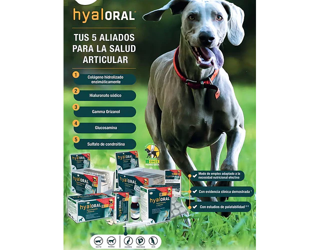 Hyaloral Razas Pharmadiet Suplemento Articular Perros Medianos 270 Tabs