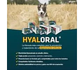 Hyaloral Razas Pharmadiet Suplemento Articular Perros Medianos 270 Tabs