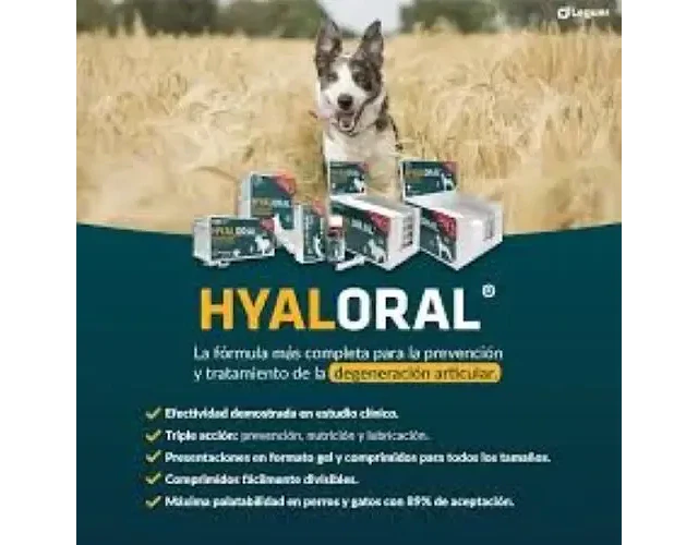 Hyaloral Razas Pharmadiet Suplemento Articular Perros Medianos 270 Tabs