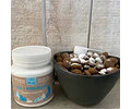 Prebiótico Y Probiótico 60 Grs. (perro/gato) - Winga