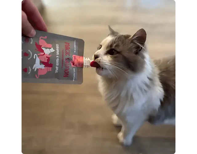 Magic Salmon Para Gatos 90 Grs. - Winga