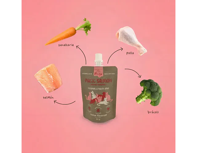 Magic Salmon Para Gatos 90 Grs. - Winga