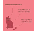 Magic Salmon Para Gatos 90 Grs. - Winga