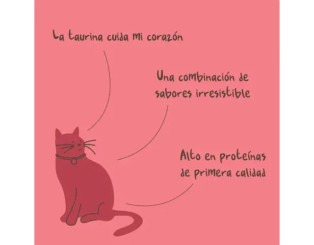 Magic Salmon Para Gatos 90 Grs. - Winga