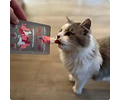 Magic Salmon Para Gatos 90 Grs. - Winga