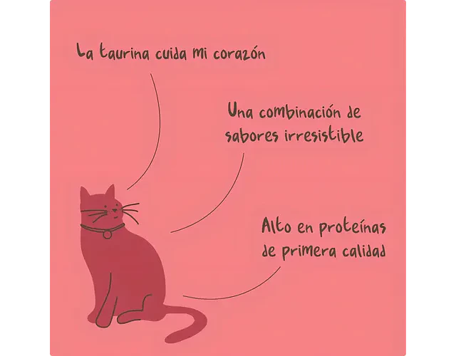 Magic Salmon Para Gatos 90 Grs. - Winga