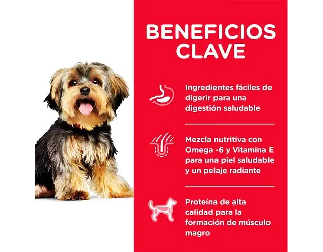 Alimento Hill's Science Diet Adult Small Paws Para Perro Adulto De Raza Mini Y Pequeña Sabor Pollo De 2 Kg