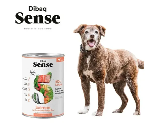 Dibaq Sense Comida Húmeda Perro Adulto Salmón 380g