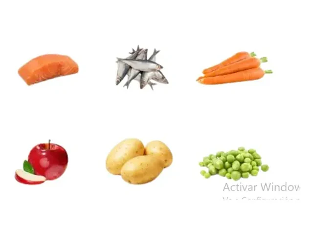 Dibaq Sense Alimento Wild Jabalí & Ciervo Perro Adulto 10kg