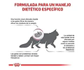 Royal Canin Renal Gato Adulto X 2 Kg