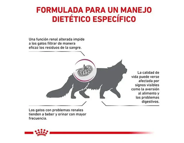 Royal Canin Renal Gato Adulto X 2 Kg