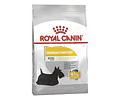 Alimento Perros Balanceado Royal Canin Mini Dermacomfort 3kg