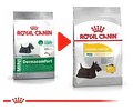 Alimento Perros Balanceado Royal Canin Mini Dermacomfort 3kg