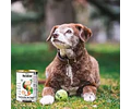 Dibaq Sense, Alimento Húmedo Cochinillo De Segovia 380gr