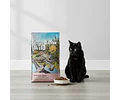 Taste Of The Wild Gato Lowland Creek 2 Kg