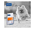 Virbac Croquetas Perro Joint & Mobility 12kg