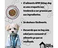 Virbac Croquetas Perro Joint & Mobility 12kg