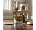 Alimento Húmedo Taste Of The Wild Para Gatos Sabor Trucha 85g
