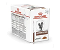 Alimento Húmedo Royal Canin Gastrointestinal 85gx12u Gatos