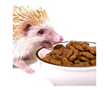 Spikes Dinner Erizo De Tierra 600 Grs