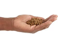 Acana Indoor Entree Para Gatos 4.5kgs
