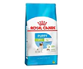 Royal Caninx-small Para Cachorros Bolsa De 2,5 Kg