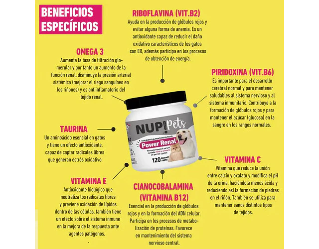 Power Renal Gato Nup!pets