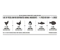 Orijen Cachorro Todos Los Tamaños Sabor Mix De 11.4 Kg