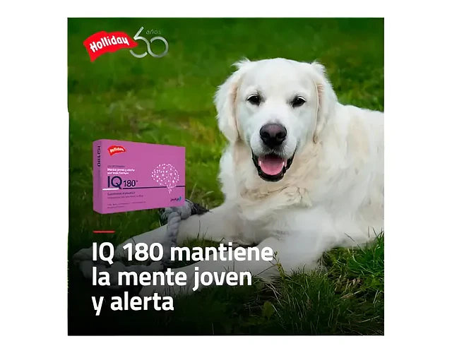 Suplemento Para Perro Gato Holliday Iq180 Neuroprotector X21