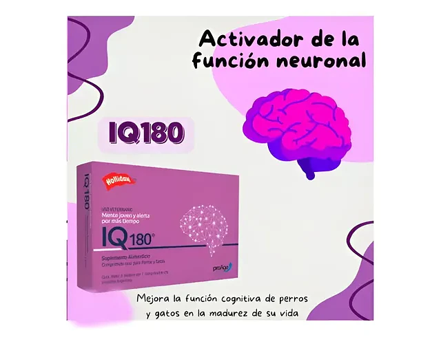 Suplemento Para Perro Gato Holliday Iq180 Neuroprotector X21