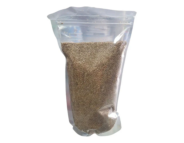 Alpiste Con Cáscara 1 Kg Para Aves Canarios Periquitos Martin Pescador