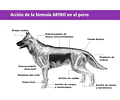 Equilibrium Artro Suplemento Perro 60 Tabletas Mh