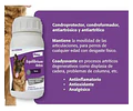 Equilibrium Artro Suplemento Perro 60 Tabletas Mh