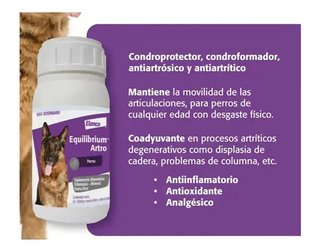 Equilibrium Artro Suplemento Perro 60 Tabletas Mh