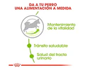 Royal Canin X-small Adulto 2.5 Kg
