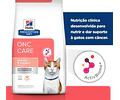 Alimento Hill's Gato Prescription Diet Onc Care 3,2 Kg, Np