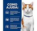 Alimento Hill's Gato Prescription Diet Onc Care 3,2 Kg, Np