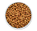 Alimento Hill's Prescription Diet Digestive Care I/d Low Fat Para Perro Adulto Todos Los Tamaños Sabor Pollo De 3.856 Kg