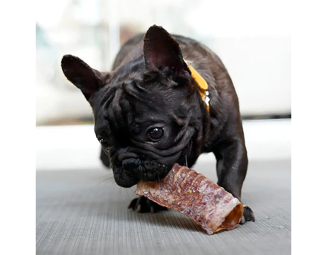 Barker Snack Para Perro Traquea De Res 4 Unidades