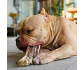 Alimento Mascotas Orejas Res Barker 3 Unidades