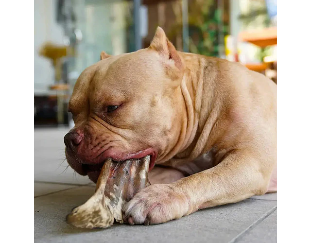 Alimento Mascotas Orejas Res Barker 3 Unidades