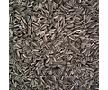 Semillas De Maravilla Para Aves 1 Kg