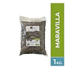 Semillas De Maravilla Para Aves 1 Kg