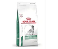 Royal Canin Diabetic Perro 10 Kg