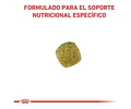 Royal Canin Diabetic Perro 10 Kg