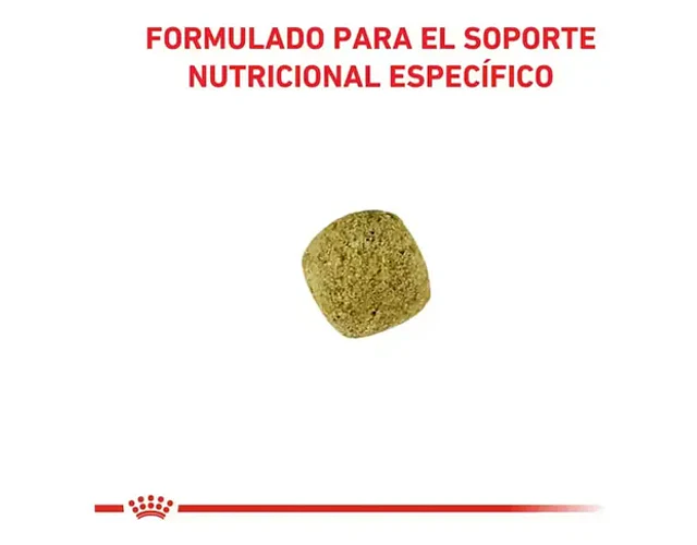 Royal Canin Diabetic Perro 10 Kg