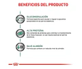 Royal Canin Diabetic Perro 10 Kg