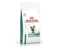 Alimento Royal Canin Diabetic Gato 1,5kg