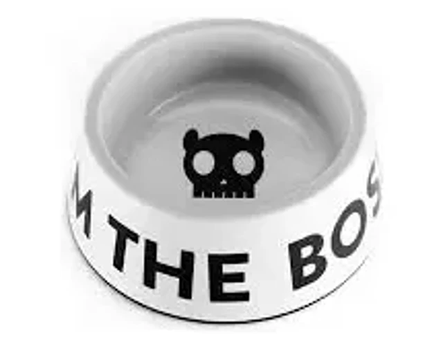 Plato Para Perro Zeedog The Boss Large Blanco